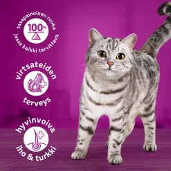kanaa kastikkeessa 400g>Whiskas Online