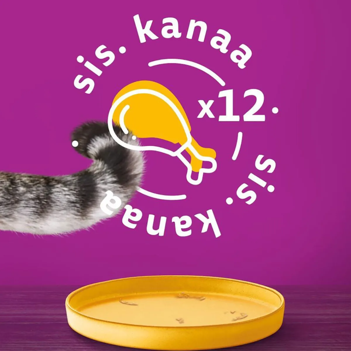 kanaa kastikkeessa 400g>Whiskas Online