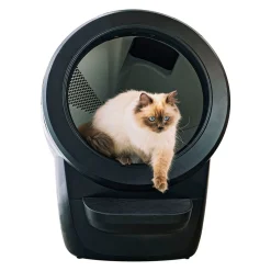Litter-Robot 4, musta>Whisker Best