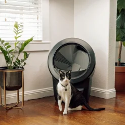 Litter-Robot 4, musta>Whisker Best