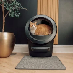 Litter-Robot 4, musta>Whisker Best