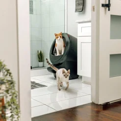 Litter-Robot 4, musta>Whisker Best