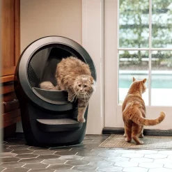 Litter-Robot 4, musta>Whisker Best
