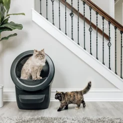 Litter-Robot 4, musta>Whisker Best