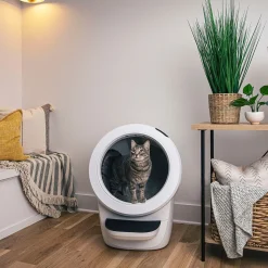 Litter-Robot 4, valkoinen>Whisker Sale