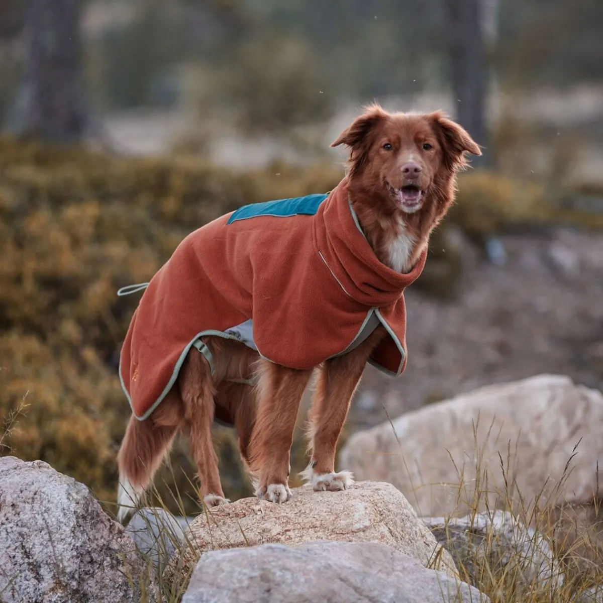 Alpha 360 Koiran fleecepusakka, Terracotta Mix>Woolly Wolf Best