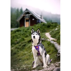 Northern Lights valjaat>Woolly Wolf Outlet