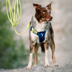 pitkä köysitalutin, lime 8 mm x 6 m>Woolly Wolf Outlet