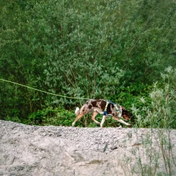 pitkä köysitalutin, lime 8 mm x 6 m>Woolly Wolf Outlet